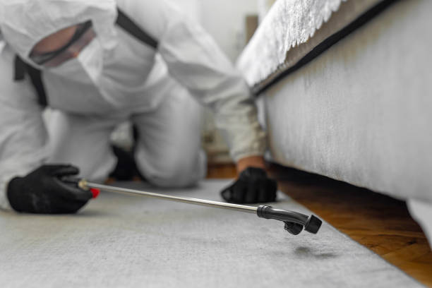 Professional Cockroach Control technician working in Franklin, WI